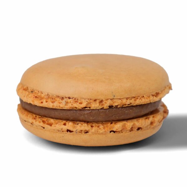 A single macaron with a smooth, beige top and chocolate filling, set against a white background.