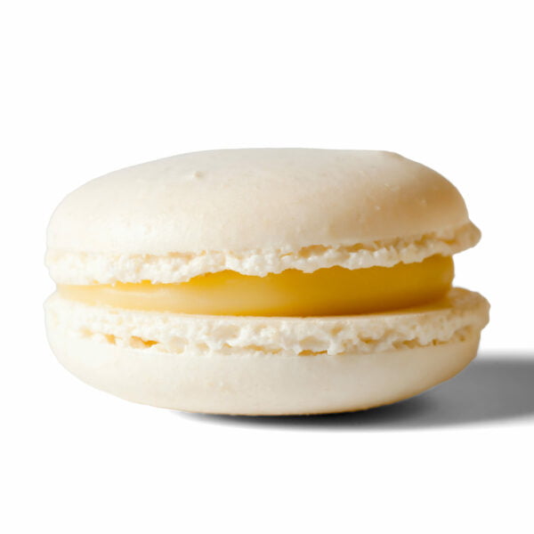 A white macaron on a white background.