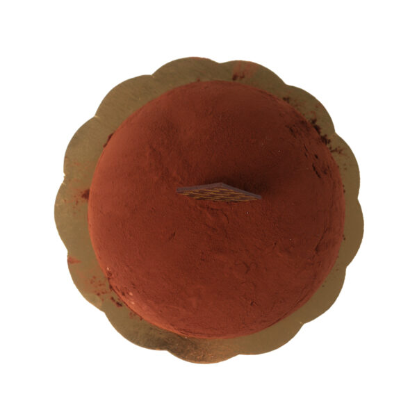 A round gelato cake dusted with cocoa powder and a piece of branding on cake's center with a golden decorative base, viewed from above.