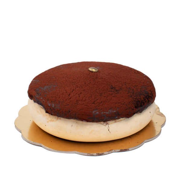 Gelato Cake Tiramisu Gelatomisu