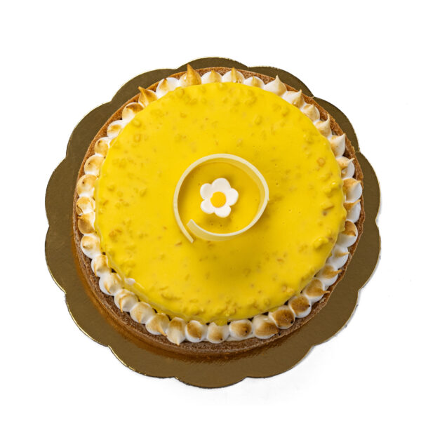 Brunetti Flat Lay Lemon Cheesecake